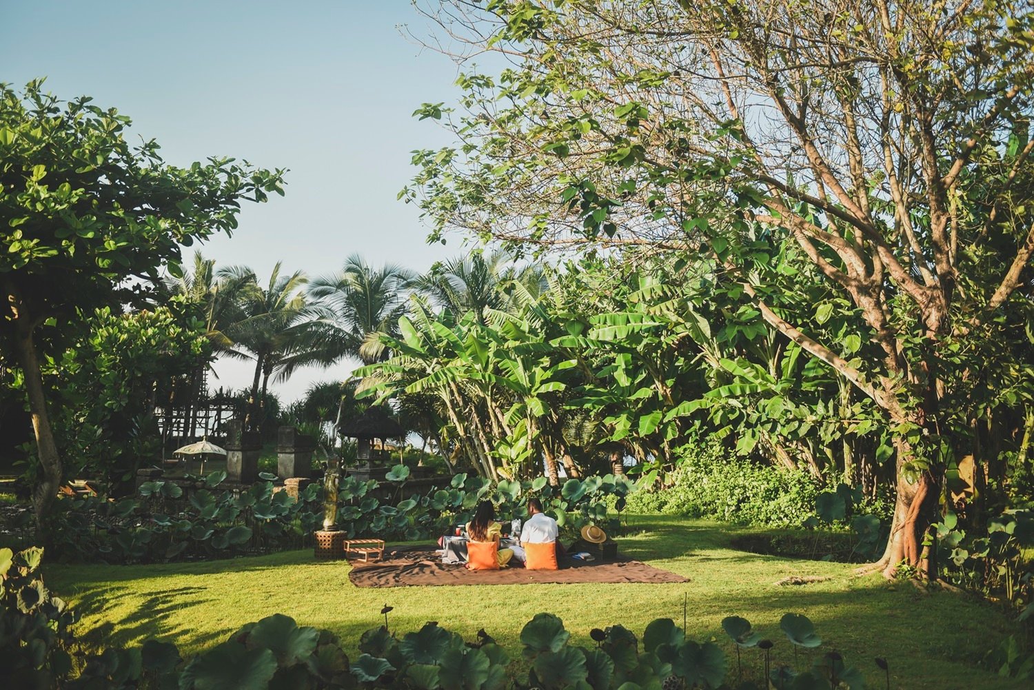 Jardin bordé de lotus